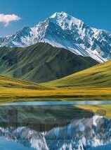水果机游戏币批发平台-水果机游戏币批发平台，连接供需，重塑行业生态