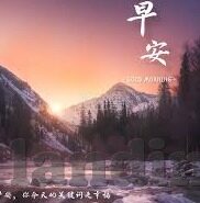 炸 真金花-炸真金花的魅力与风险